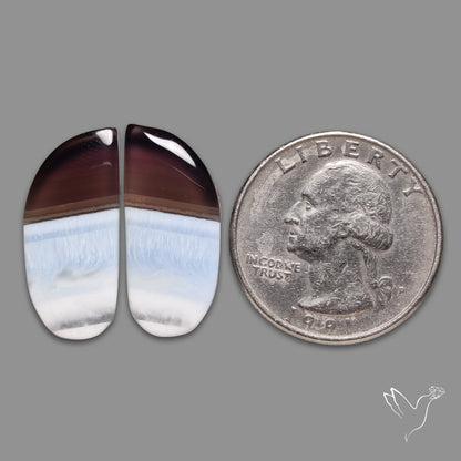Owyhee Blue Opals Pair