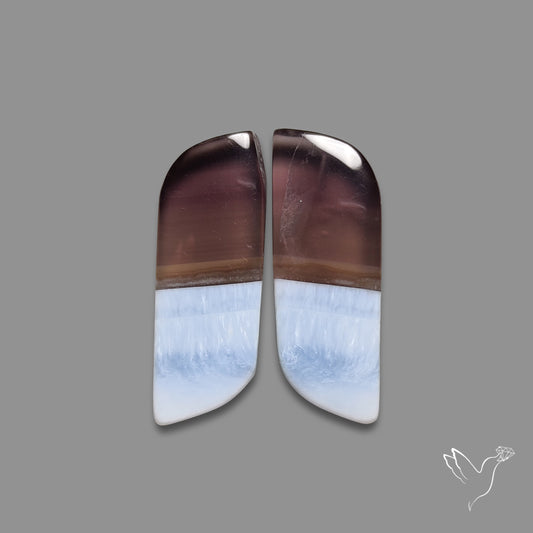Owyhee Blue Opals Pair