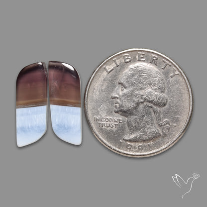 Owyhee Blue Opals Pair