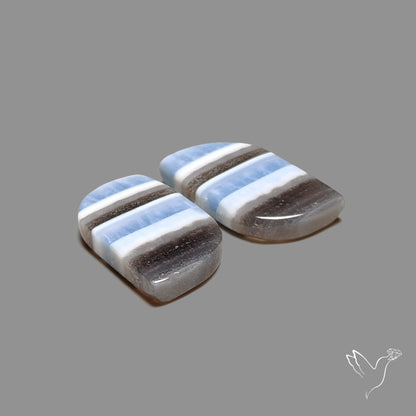 Owyhee Blue Opals Pair