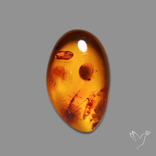 Baltic Amber Cabochon