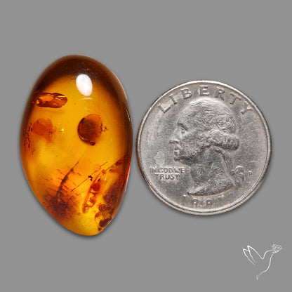 Baltic Amber Cabochon