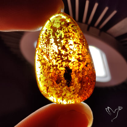 Baltic Amber Cabochon