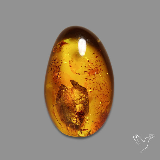 Baltic Amber Cabochon