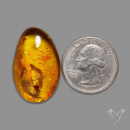Baltic Amber Cabochon