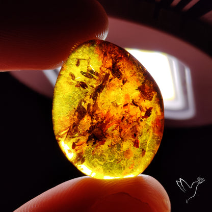 Baltic Amber Cabochon