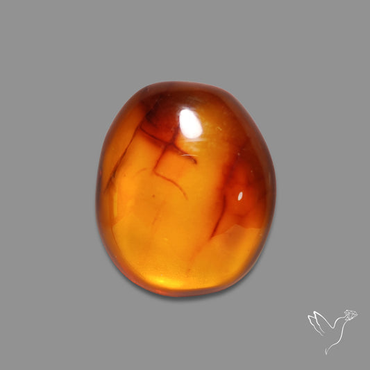 Baltic Amber Cabochon