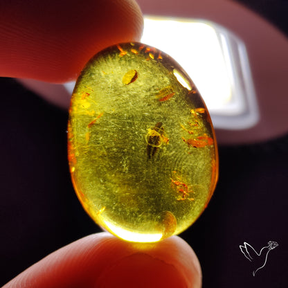 Baltic Amber Cabochon