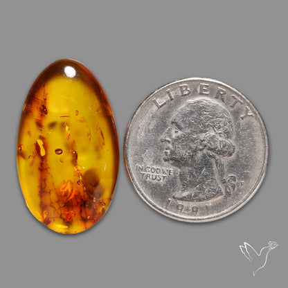 Baltic Amber Cabochon