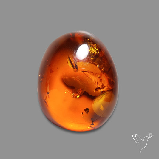 Baltic Amber Cabochon