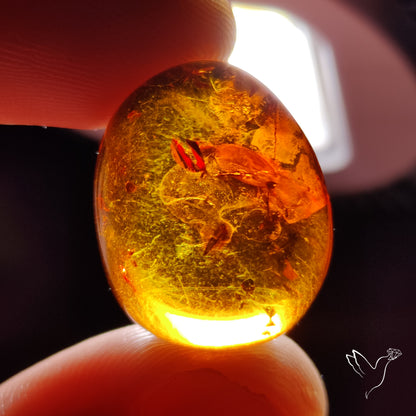Baltic Amber Cabochon