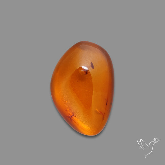 Baltic Amber Cabochon