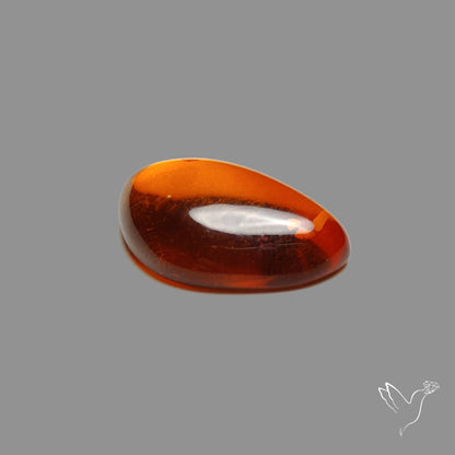 Baltic Amber Cabochon