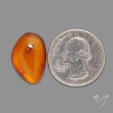 Baltic Amber Cabochon