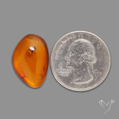 Baltic Amber Cabochon