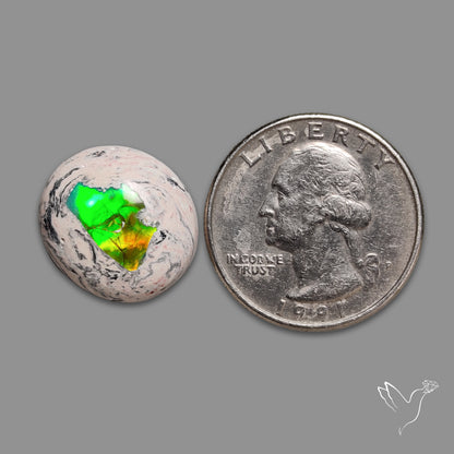 Galaxy Opal Cabochon