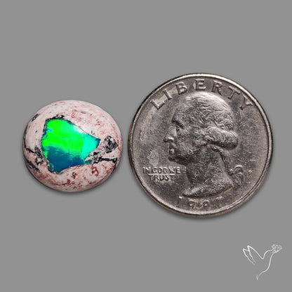 Galaxy Opal Cabochon
