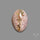 Galaxy Cantera Opal Cabochon