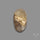 Raw Face Golden Rutilated Quartz