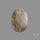 Desert Jasper Druzy