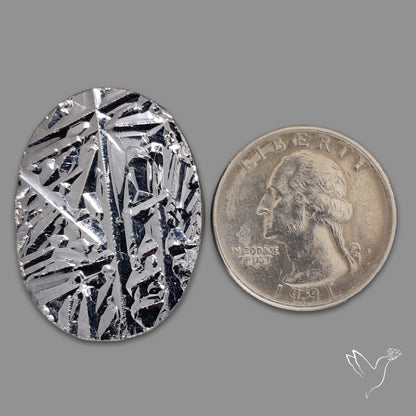 Raw Face Silicon