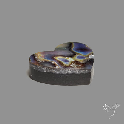 Abalone Shell Heart (Backed)