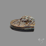 Abalone Shell Heart (Backed)