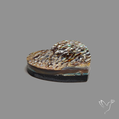 Abalone Shell Heart (Backed)