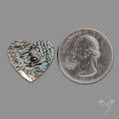 Abalone Shell Heart (Backed)
