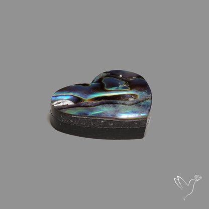 Abalone Shell Heart (Backed)