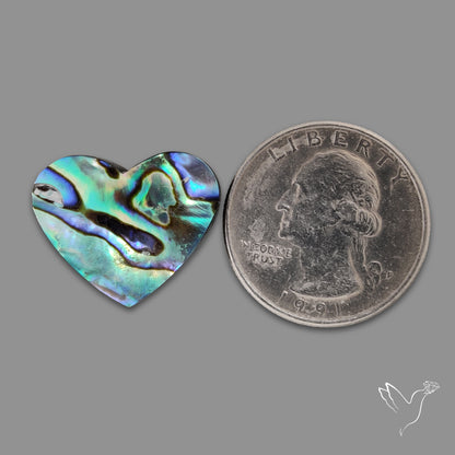 Abalone Shell Heart (Backed)