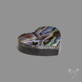 Abalone Shell Heart (Backed)