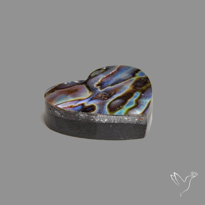 Abalone Shell Heart (Backed)