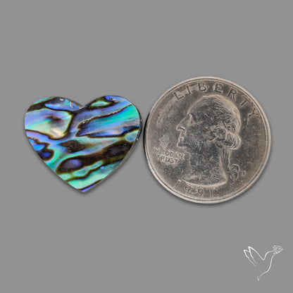 Abalone Shell Heart (Backed)