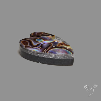 Abalone Shell Heart (Backed)