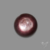 Gem Lepidolite Mica Round Cabochon