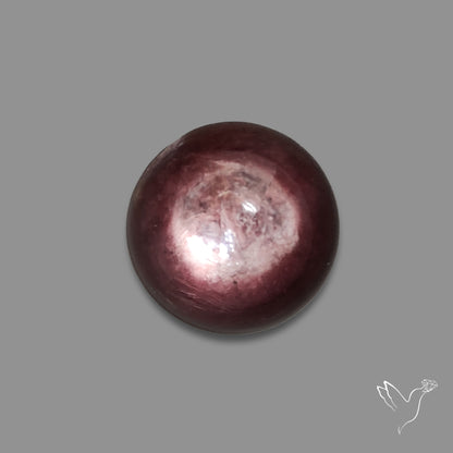Gem Lepidolite Mica Round Cabochon