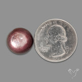 Gem Lepidolite Mica Round Cabochon