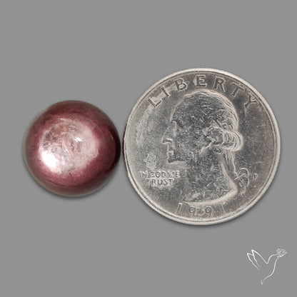 Gem Lepidolite Mica Round Cabochon