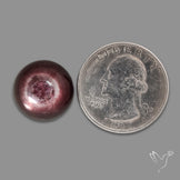 Gem Lepidolite Mica Round Cabochon