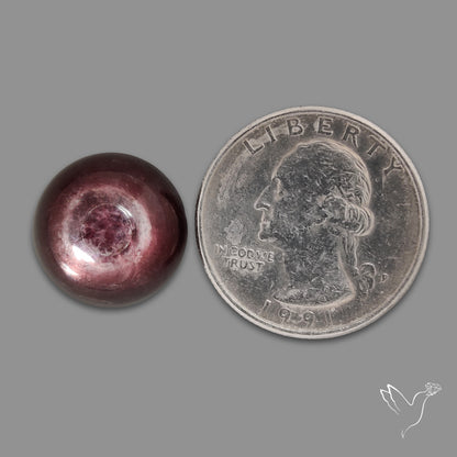 Gem Lepidolite Mica Round Cabochon