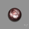 Gem Lepidolite Mica Round Cabochon