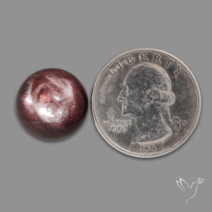 Gem Lepidolite Mica Round Cabochon