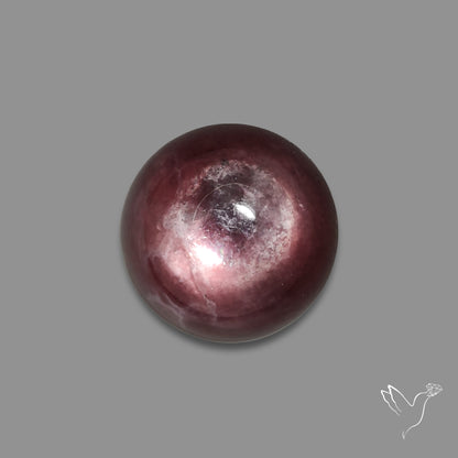Gem Lepidolite Mica Round Cabochon