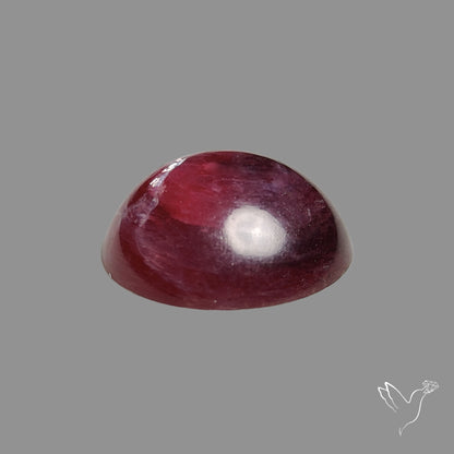 Gem Lepidolite Mica Round Cabochon