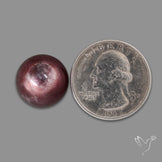 Gem Lepidolite Mica Round Cabochon