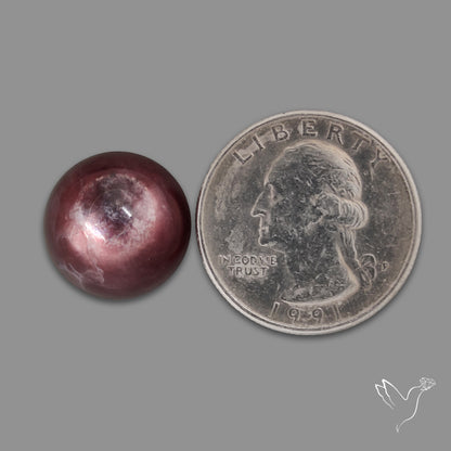 Gem Lepidolite Mica Round Cabochon