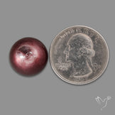 Gem Lepidolite Mica Round Cabochon