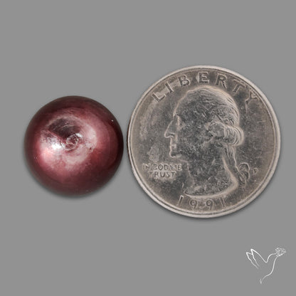 Gem Lepidolite Mica Round Cabochon