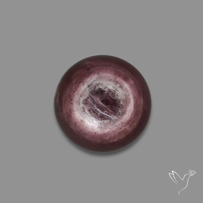 Gem Lepidolite Mica Round Cabochon